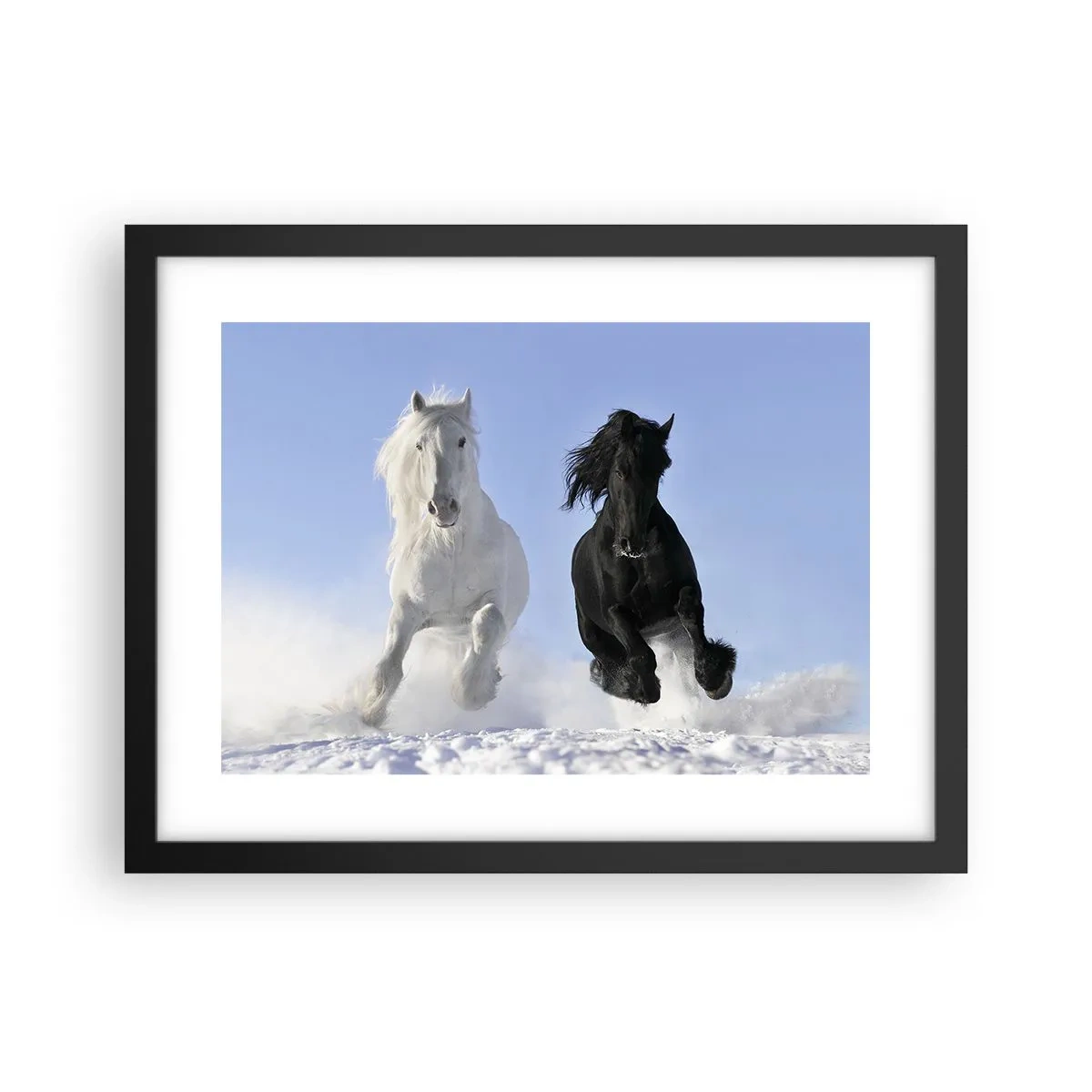 Affisch i svart ram - Svart-vit galopp - 40x30 cm