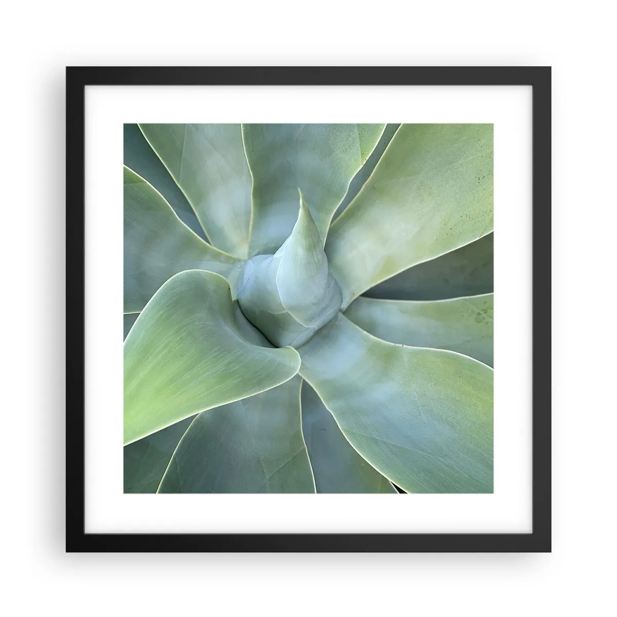 Affisch i svart ram - Det gröna föds - 40x40 cm