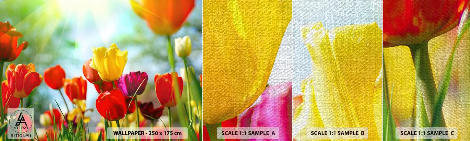 Provbit av fototapet Premium Canvas - Solens alla färger - Tulpaner, Blommor, Äng - 100x30 cm