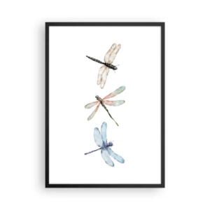 Affisch i svart ram - Tre trollsländor målade i akvarell - 50x70cm - Viktlösa trollsländor - Modern väggdekoration för vardagsrum och sovrum ARTTOR
