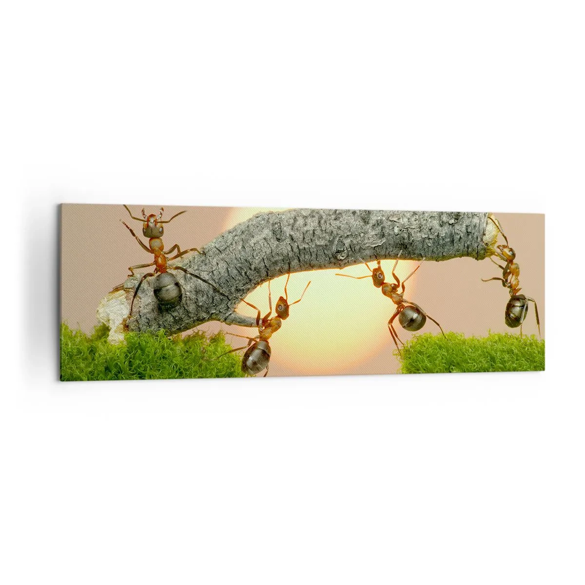 Canvastavla - Bild på duk - Glatt, gemensamt arbete - 160x50 cm