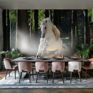 Fototapet Premium Sand - Som från en fantasybok - Djur, Häst, Landskap - 350x256 cm