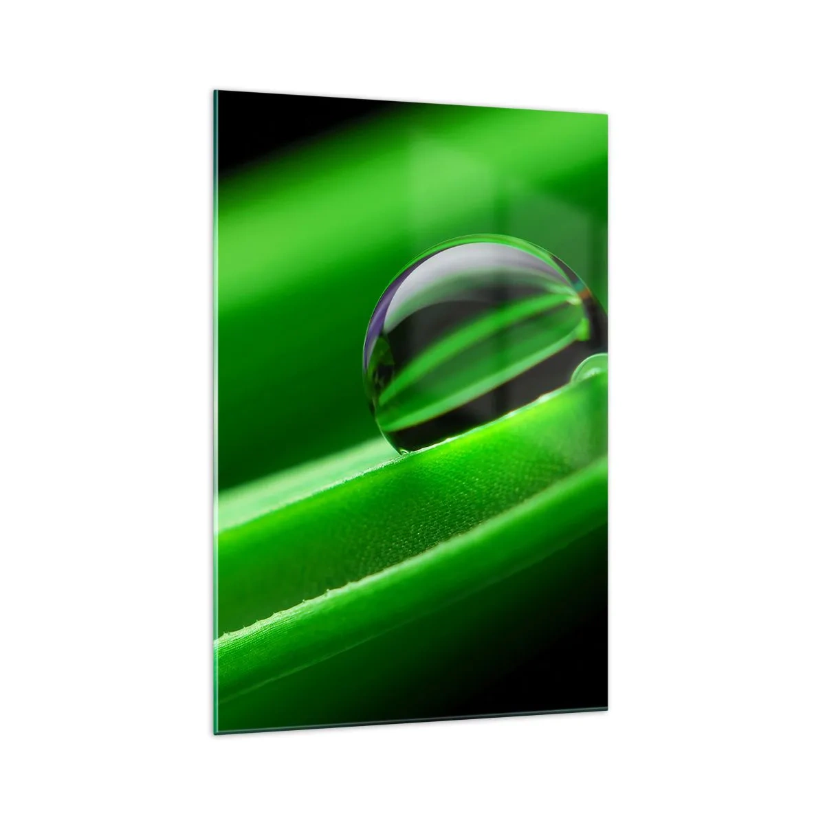 Glastavla - Bild på glas - Livet på nära håll - 70x100 cm