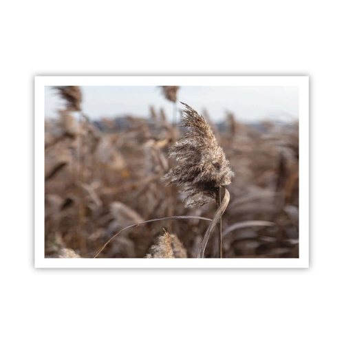 Affisch - Dags att flyga bort med vinden - 100x70 cm