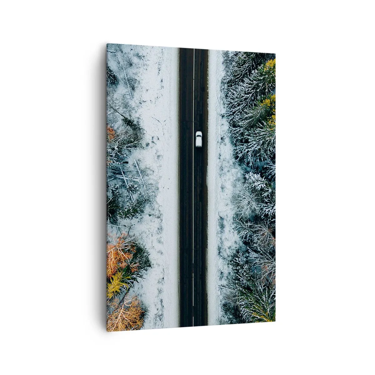 Canvastavla - Bild på duk - Genom vinterskogen - 80x120 cm