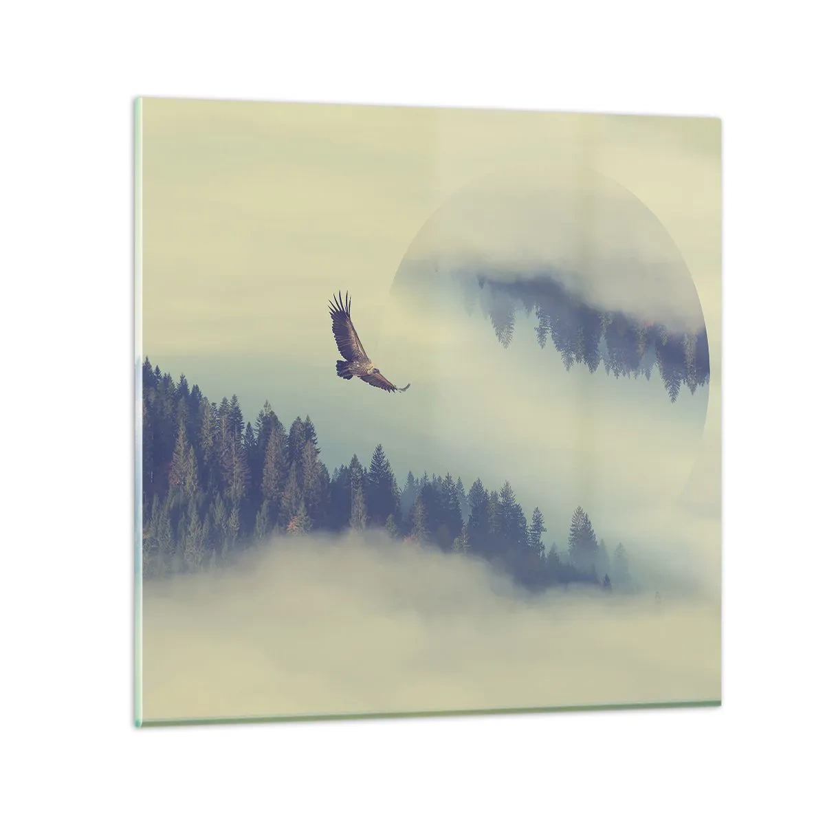 Glastavla - Bild på glas - Örnens skugga - 30x30 cm