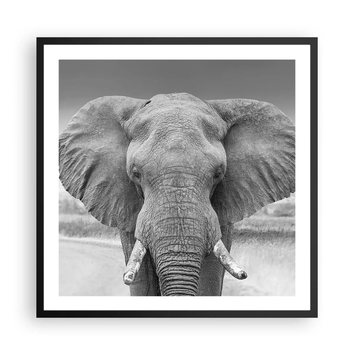 Affisch i svart ram - Välkommen till min värld - 60x60 cm