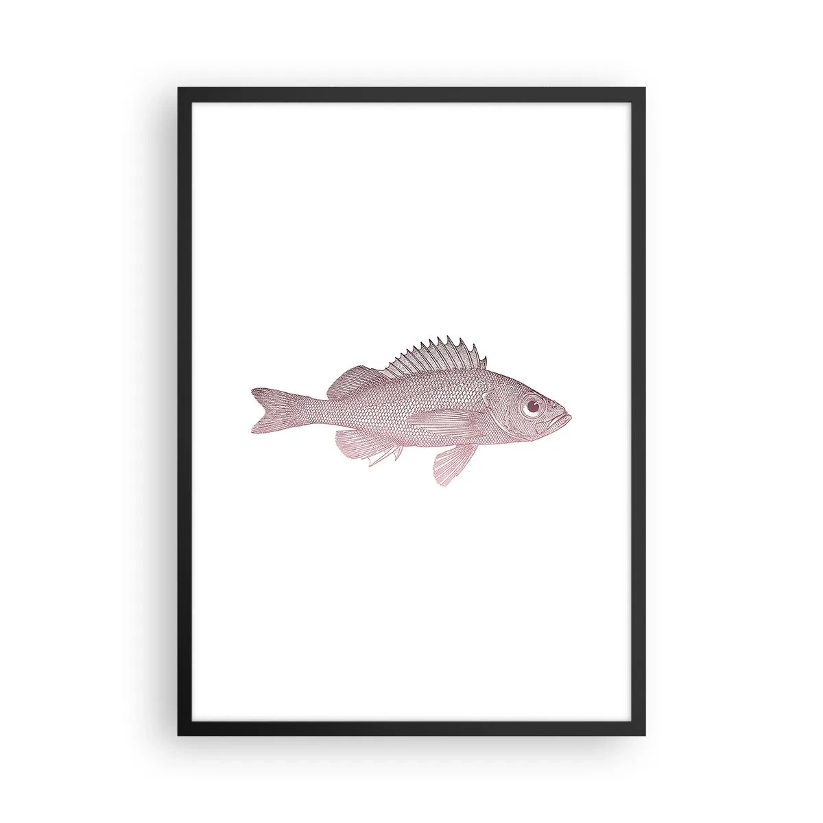 Affisch i svart ram - Fiskgrafik på vit bakgrund i minimalistisk stil - 50x70cm - Storögd fisk - Modern väggdekoration för vardagsrum och sovrum ARTTOR