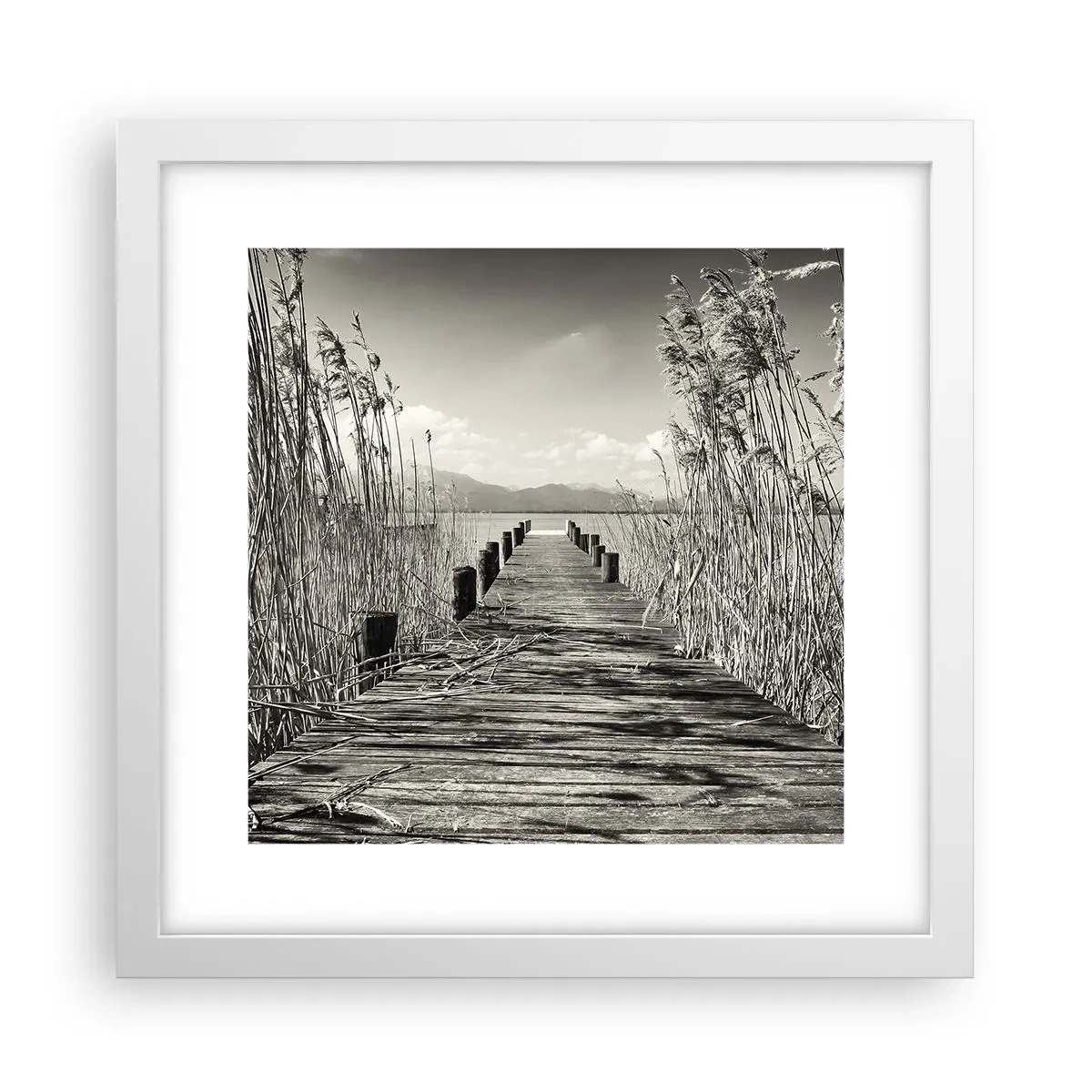 Affisch i vit ram - I gräsets fristad - 30x30 cm