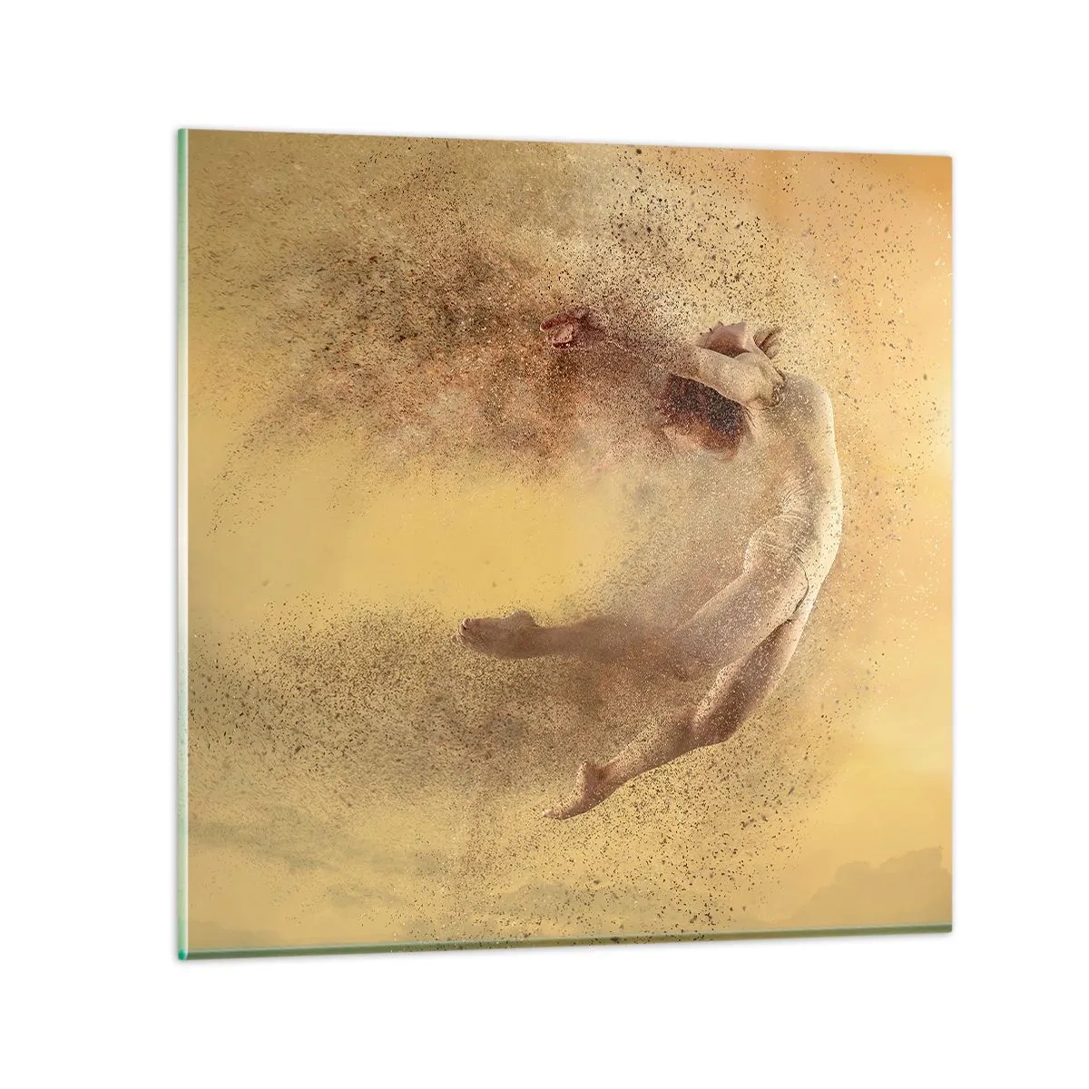 Glastavla - Bild på glas - Dansextas - 30x30 cm