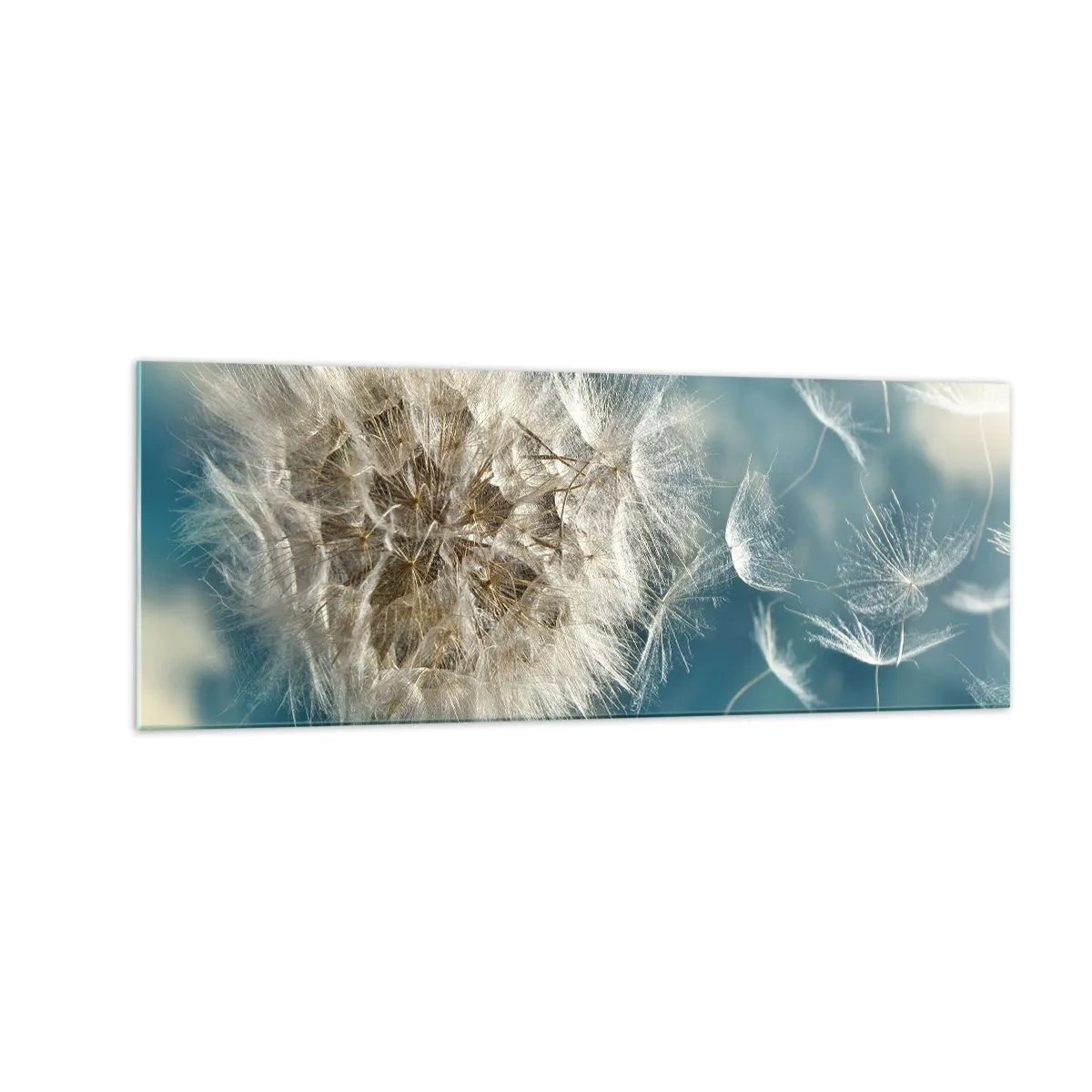 Glastavla - Bild på glas - Ängelns andetag - 140x50 cm