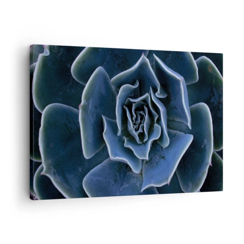 Canvastavla - Bild på duk - Närbild av en grön suckulent rosett - 70x50cm - Öknens blomma - Modern väggdekoration för vardagsrum och sovrum ARTTOR
