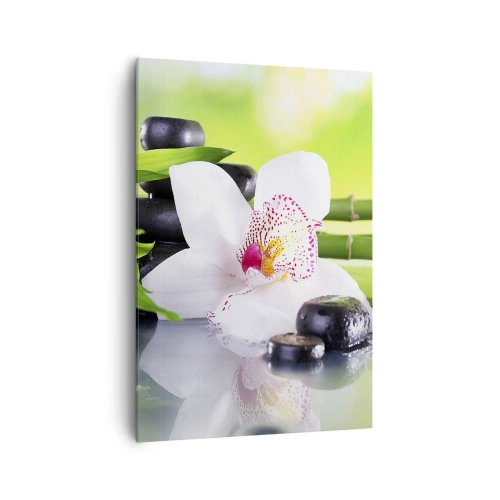 Canvastavla - Bild på duk - Sval fräschhet - 70x100 cm