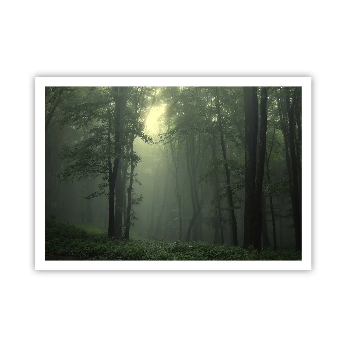 Affisch - Innan skogen vaknar - 100x70 cm