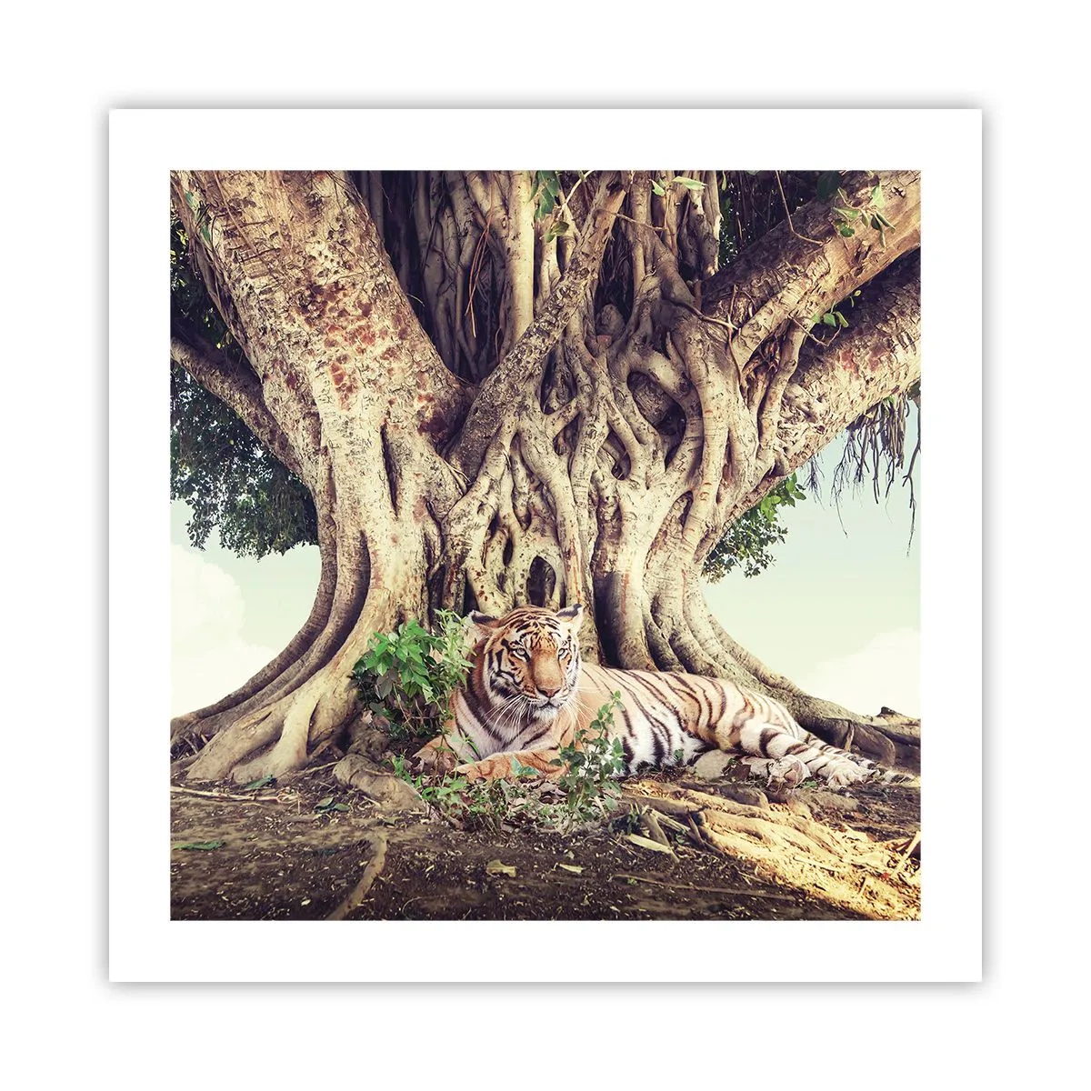 Affisch - Vi från Första Moseboken - 50x50 cm