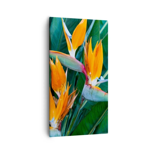 Canvastavla - Bild på duk - Är det en blomma, eller en fågel? - 55x100 cm