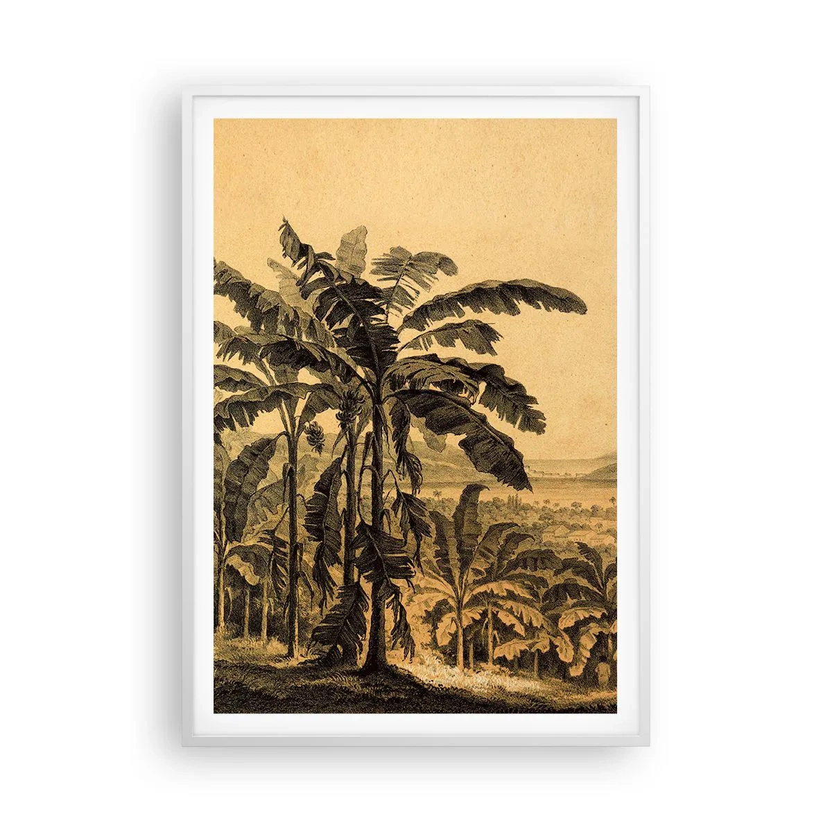 Affisch i vit ram - I kolonial stämning - 70x100 cm