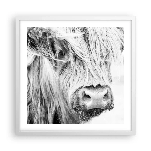 Affisch i vit ram - Skotsk vildhet - 50x50 cm