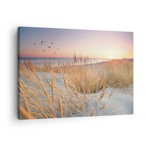 Canvastavla - Bild på duk - Solnedgångsstrand med högt gräs - 70x50cm - Östersjövaggvisa - Modern väggdekoration för vardagsrum och sovrum ARTTOR