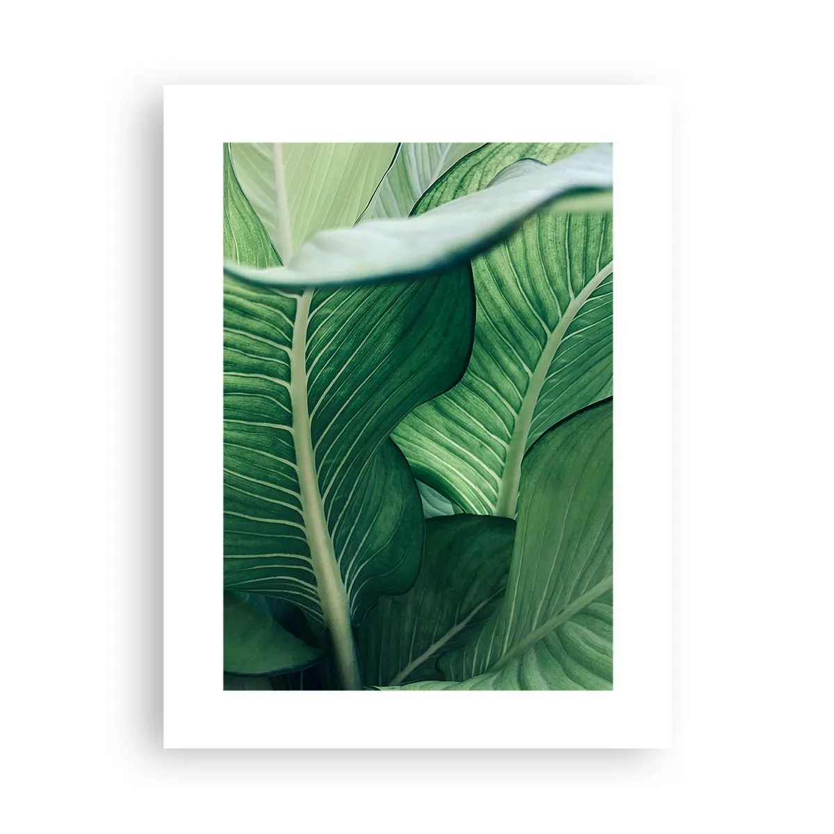 Affisch - Livet intensivt grönt - 30x40 cm