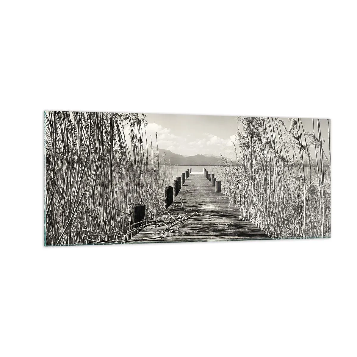 Glastavla - Bild på glas - I gräsets fristad - 100x40 cm