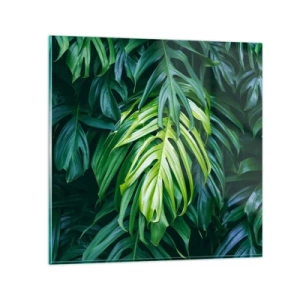 Glastavla - Bild på glas - Doppa sig i fräschheten - 30x30 cm