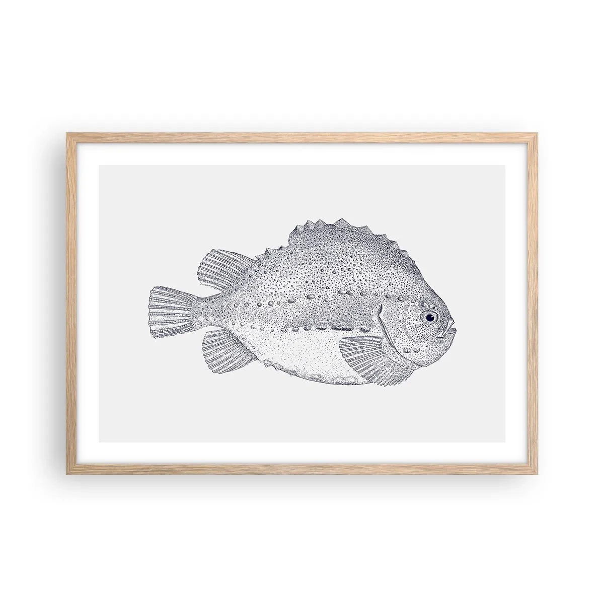 Affisch i ram av ljusek - Till naturforskarens album - 70x50 cm