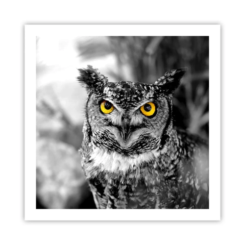 Affisch - Inget kommer undan - 60x60 cm