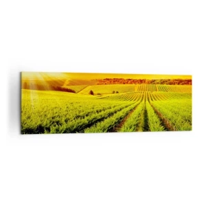 Canvastavla - Bild på duk - Under australiensiska solen - 160x50 cm