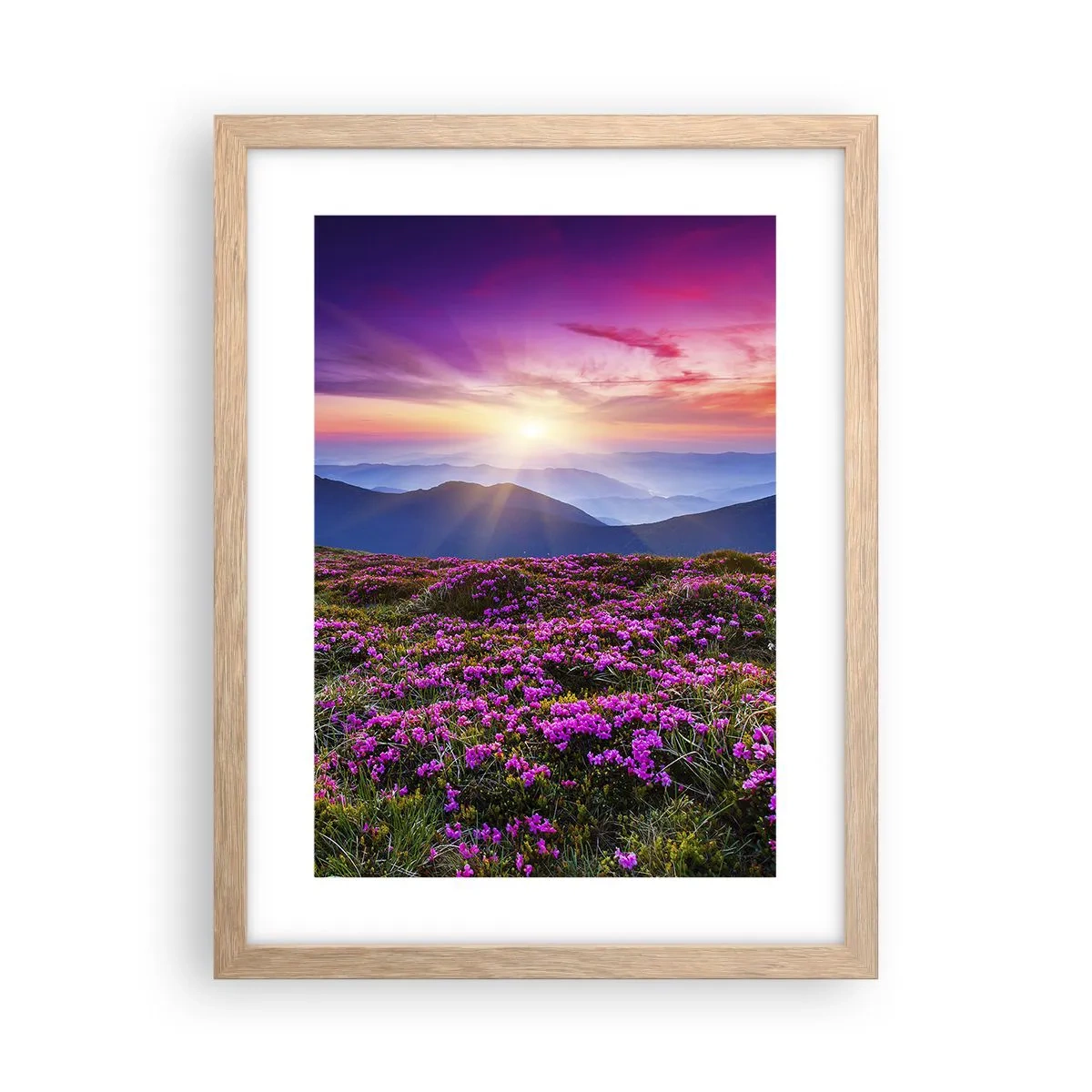 Affisch i ram av ljusek - Doftande örter - 30x40 cm