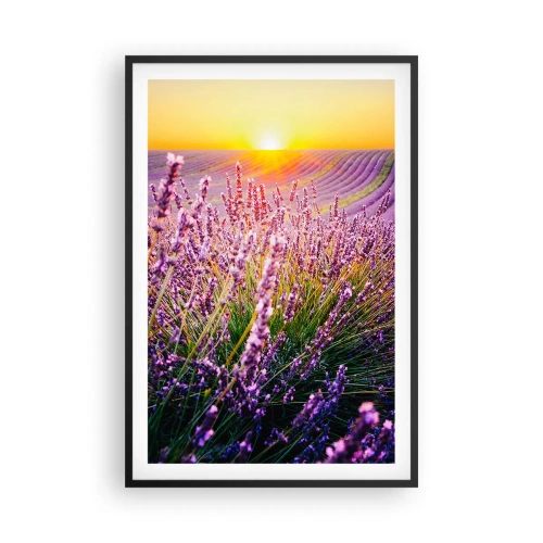 Affisch i svart ram - Doftande åkermark - 61x91 cm