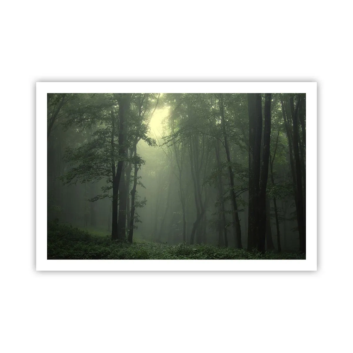 Affisch - Innan skogen vaknar - 91x61 cm