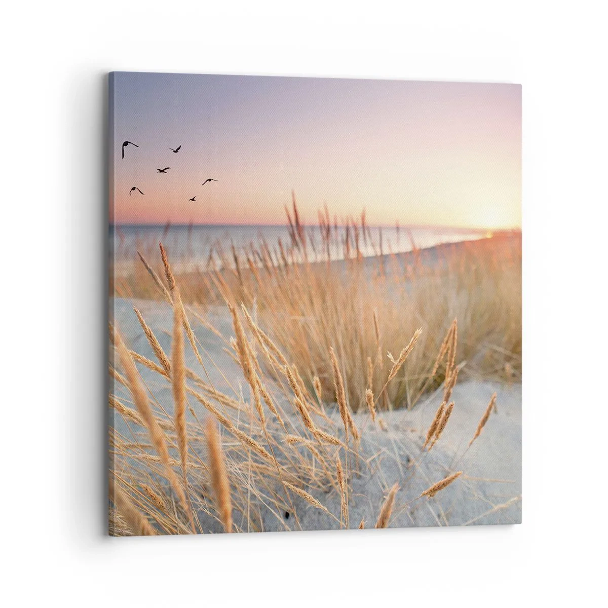 Canvastavla - Bild på duk - Östersjövaggvisa - 70x70 cm