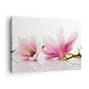 Canvastavla - Bild på duk - Fina rosa magnolior på vit bakgrund - 70x50cm - Lätta som vårkänslan - Modern väggdekoration för vardagsrum och sovrum ARTTOR