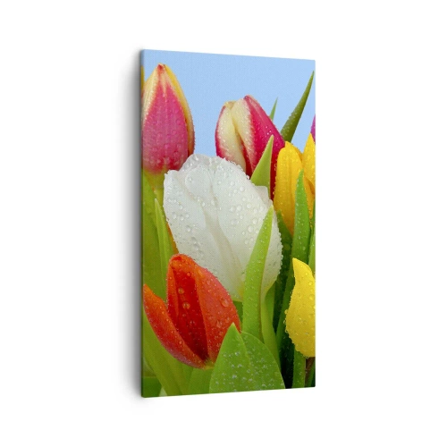 Canvastavla - Bild på duk - blommig regnbåge i daggdroppar - 45x80 cm