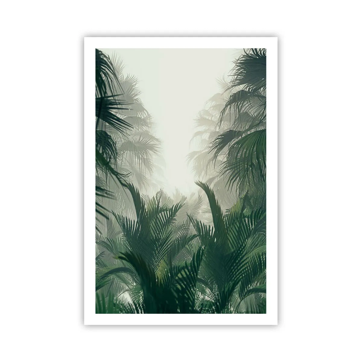 Affisch - Tropisk hemlighet - 61x91 cm