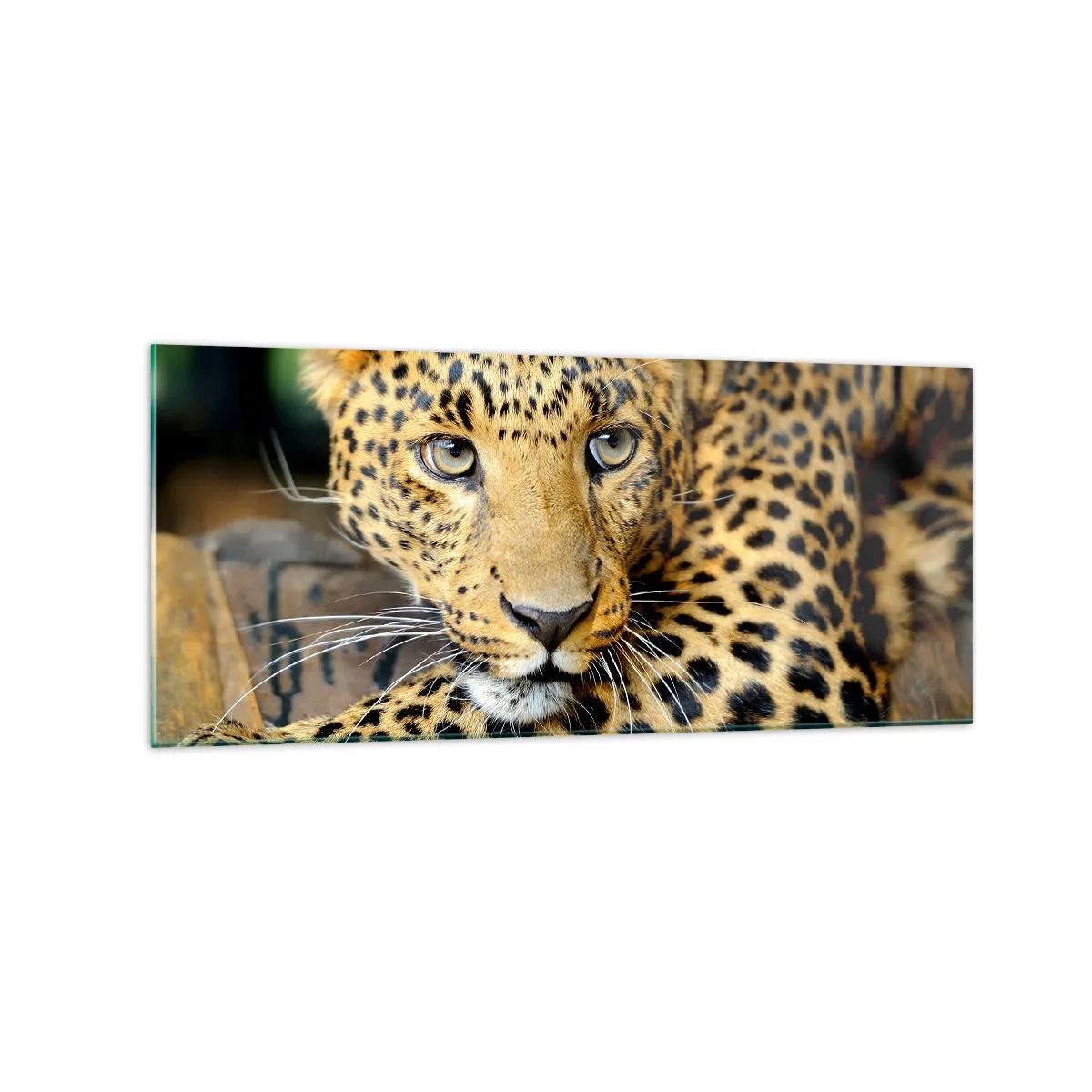 Glastavla - Bild på glas - Var inte rädd, kom fram - 120x50 cm