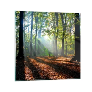 Glastavla - Bild på glas - Sken-och skuggspel - 40x40 cm