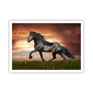 Affisch - Svarta prinsen - 100x70 cm