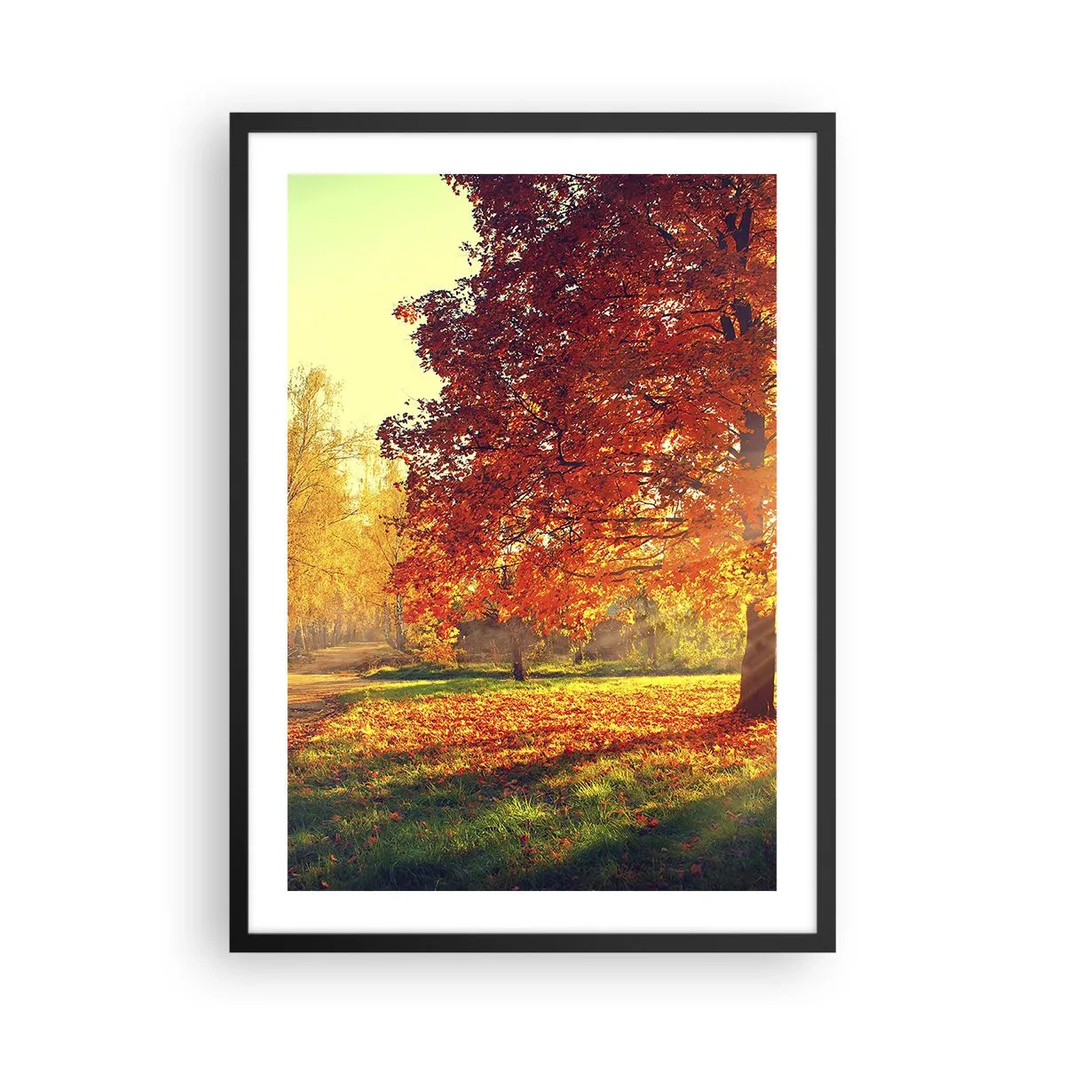 Affisch i svart ram - Höstpark med ett träd med gyllene löv i solen - 50x70cm - Rött är vackert - Modern väggdekoration för vardagsrum och sovrum ARTTOR