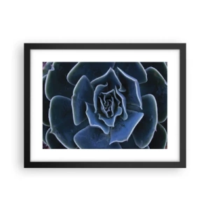 Affisch i svart ram - Öknens blomma - 40x30 cm