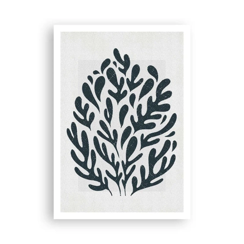 Affisch - Naturens former - 70x100 cm