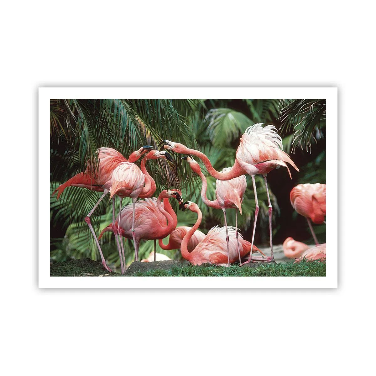 Affisch - Eftermiddags skvaller - 91x61 cm