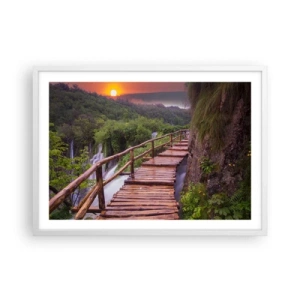 Affisch i vit ram - Otrolig skönhet - 70x50 cm