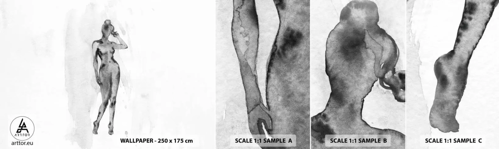 Fototapet Prov Standard Eco - En studie om kvinnlighetens perfektion - Kvinna, Kvinnlig kropp, Grafik - 100x30 cm