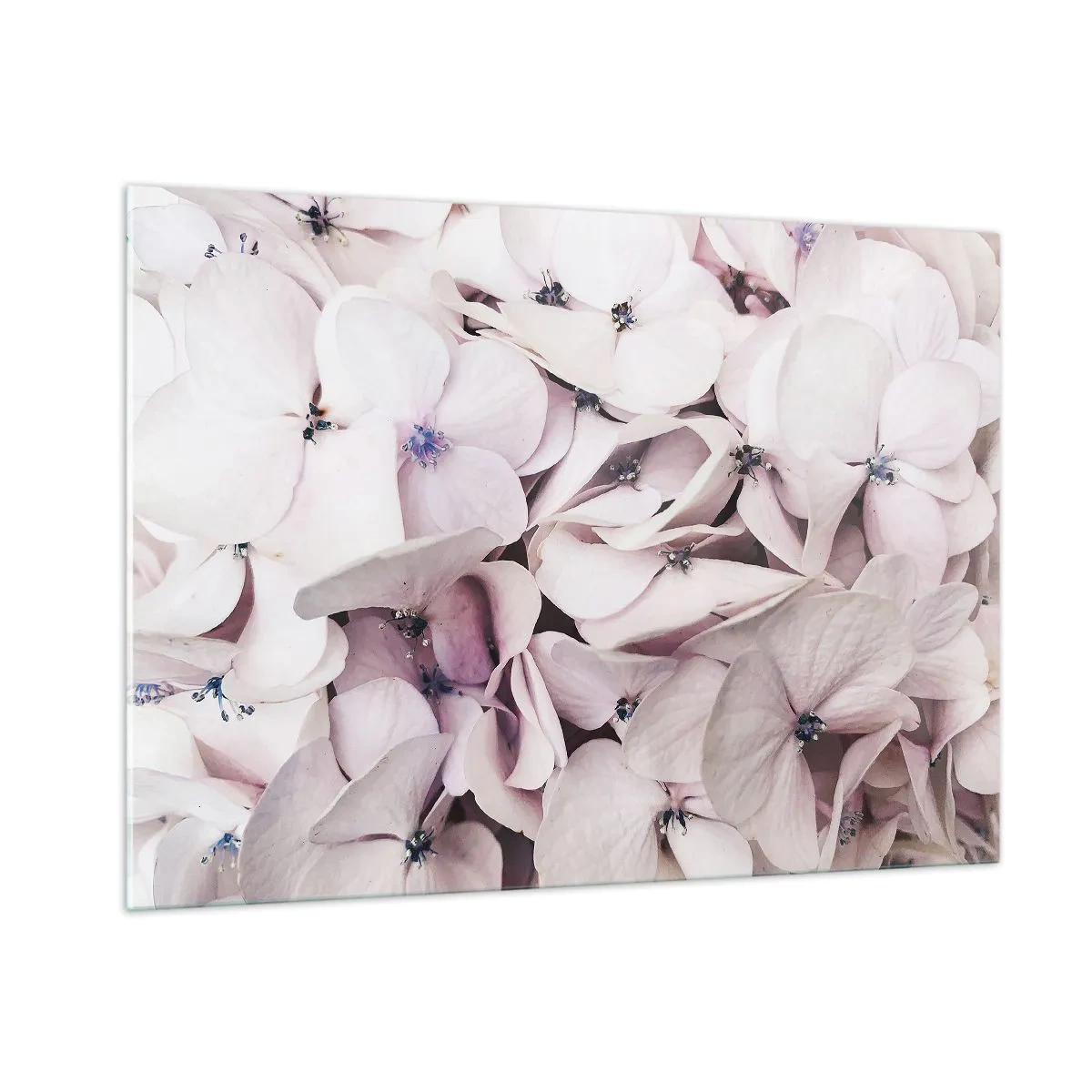 Glastavla - Bild på glas - I en flod av blommor - 100x70 cm