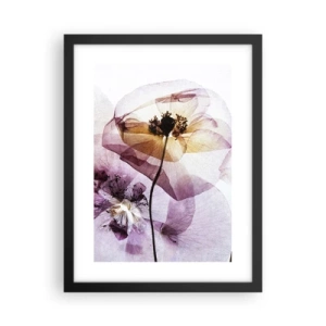 Affisch i svart ram - Blommornas transparenta kroppar - 30x40 cm