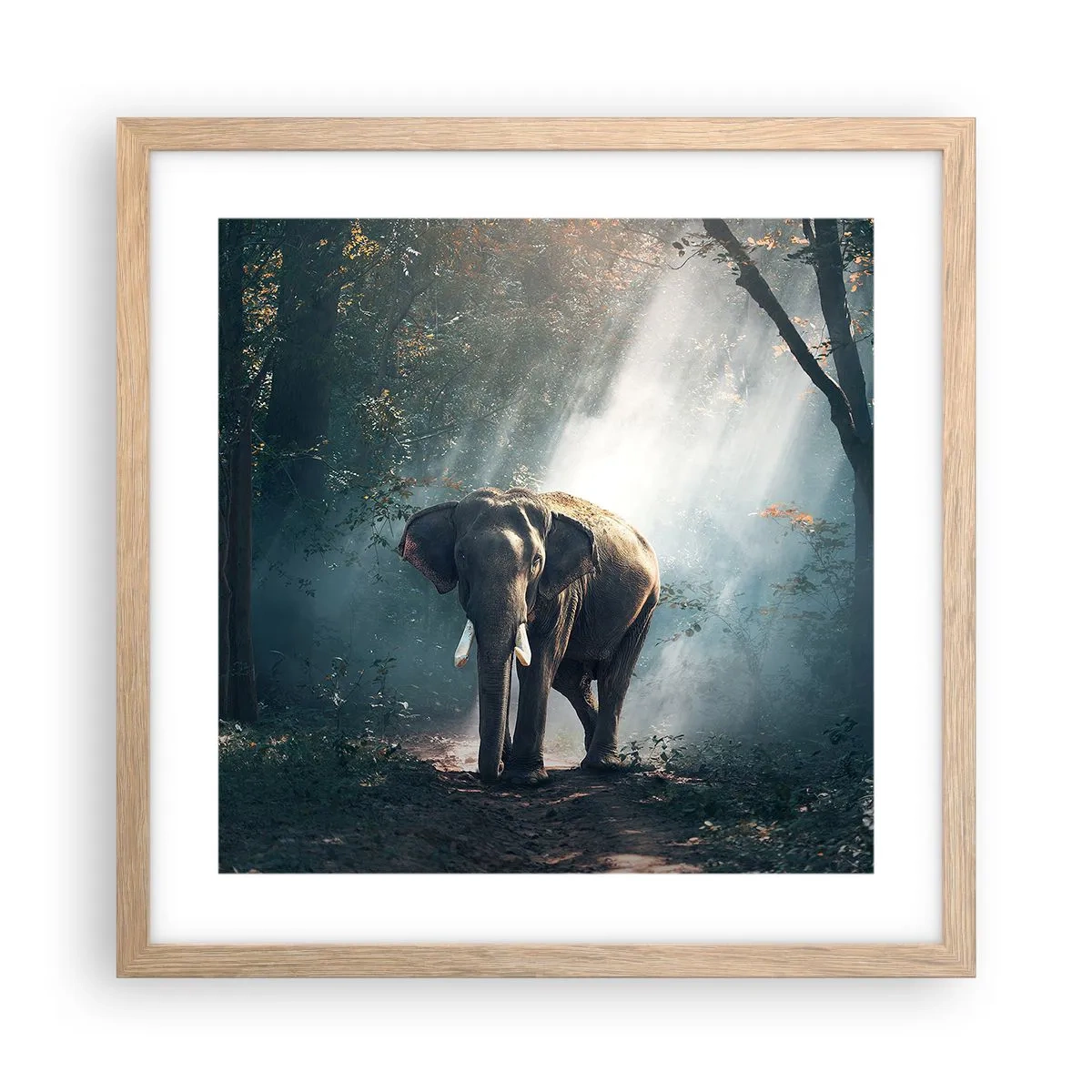 Affisch i ram av ljusek - Lugn promenad - 40x40 cm