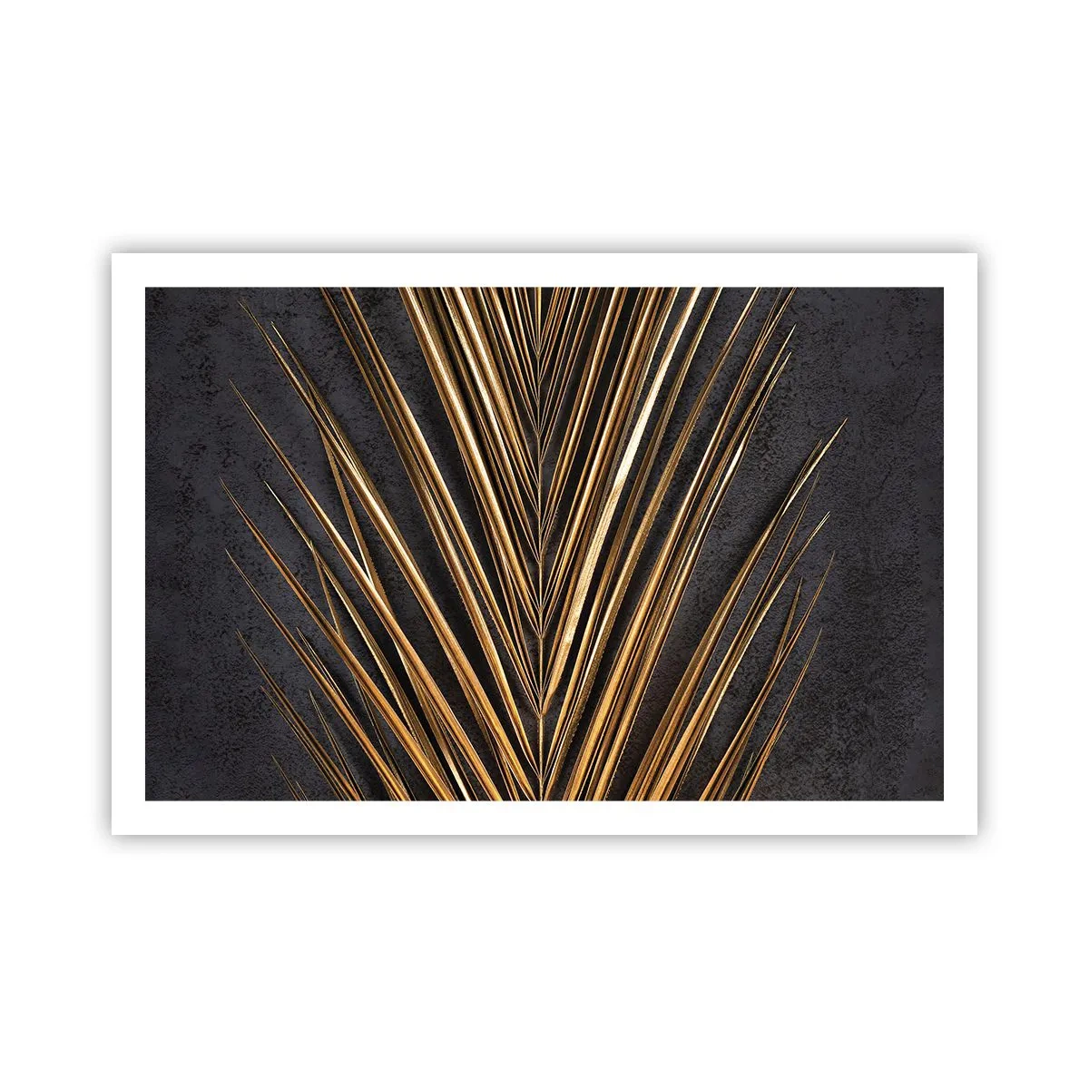 Affisch - Tropikens guld - 91x61 cm