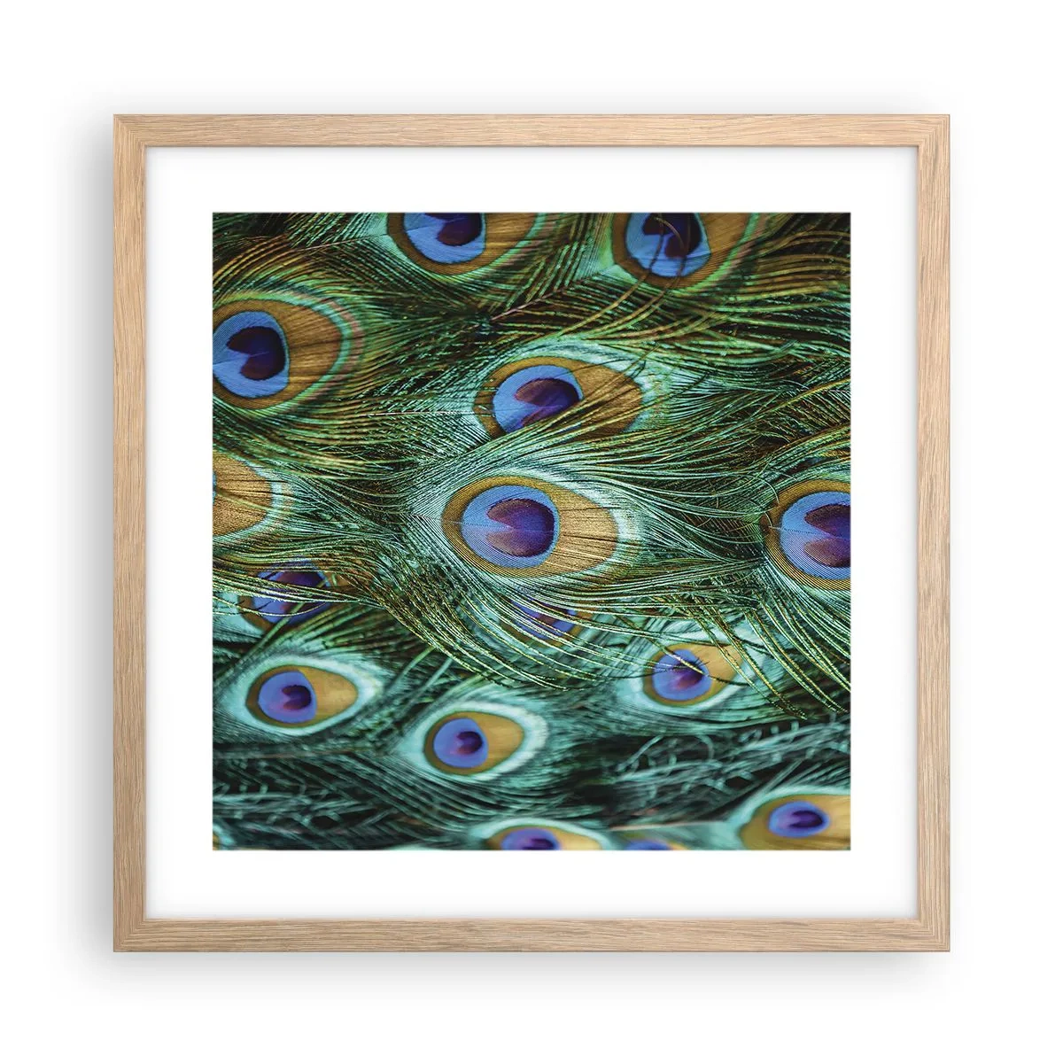 Affisch i ram av ljusek - Påfågels blick - 40x40 cm